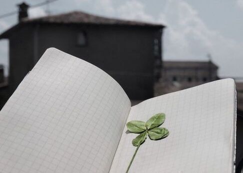 Four-leaf clover - talisman for good luck