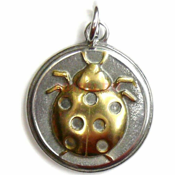 ladybug amulet - brings financial happiness